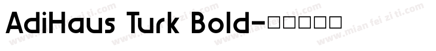AdiHaus Turk Bold字体转换
